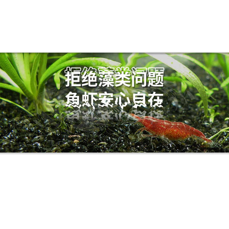 德国jbl珍宝鱼缸底层水草肥料根肥液肥基肥铁肥钾肥叶肥水草专用-图2