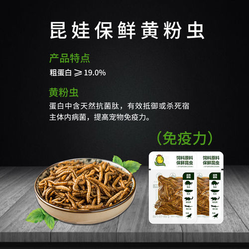 昆娃保鲜昆虫鱼食爬虫鸟龟宠物龙鱼饲料大麦虫蟑螂蟋蟀蜈蚣面包虫 - 图1