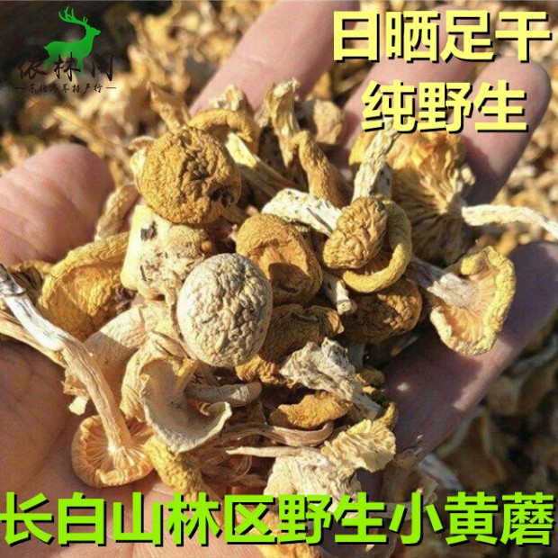 包邮野生小黄蘑半斤250g 长白山干货东北小鸡炖蘑菇丁土特产山货 - 图0