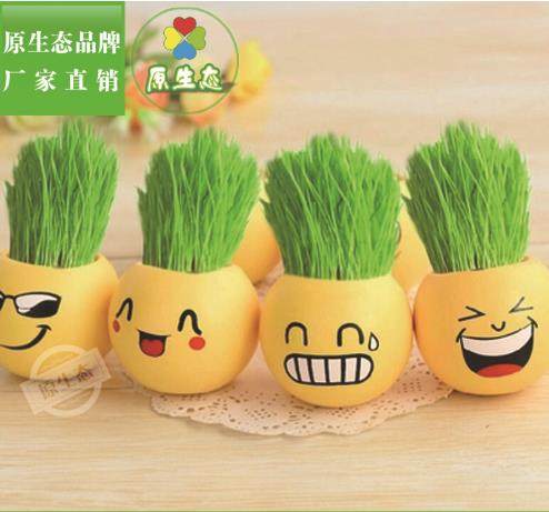 原生态DIY长草头娃娃防辐射 炫酷表情 塑料多肉花盆 摆件礼品玩具,淘宝优惠券,粉丝福利购,淘宝优惠卷