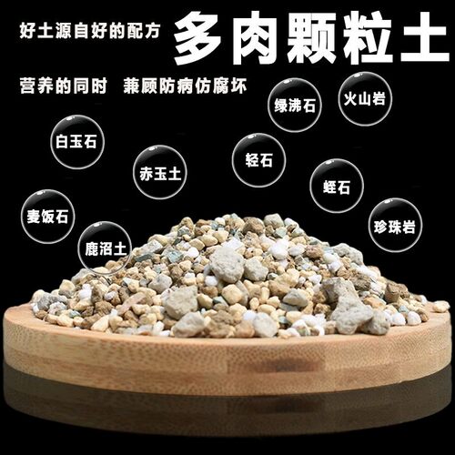 多肉植物营养土泥炭土多肉土叶插换盆土多肉专用土多肉颗粒土培养 - 图0