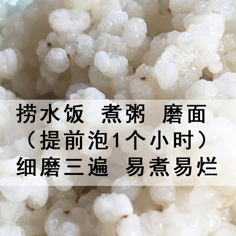 黑山东北特产老品种6a高粱米食用新米白高粱米5斤散装包邮-图2