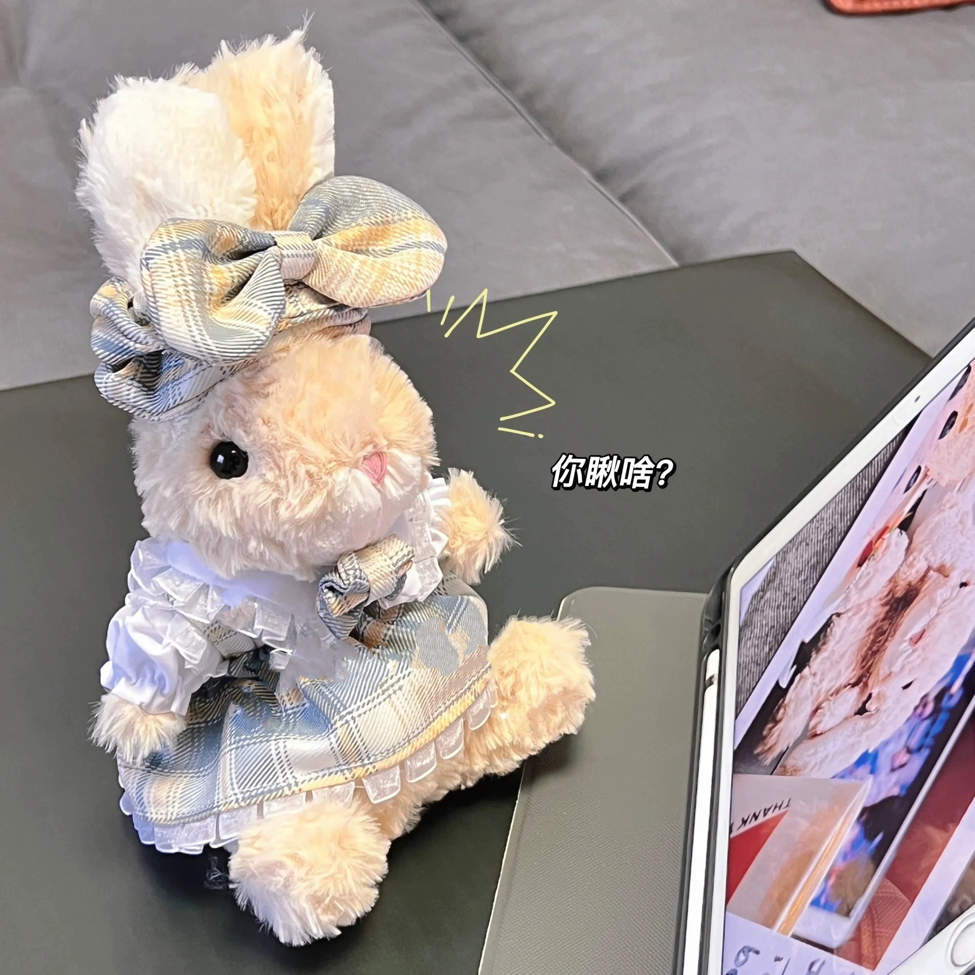 jellycat13/15cmyummy兔衣服小狗小熊小羊玩偶春夏新款连衣裙套装 - 图2