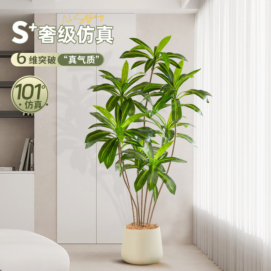 Living room Brazilian wood sofa side decoration simulated green plants