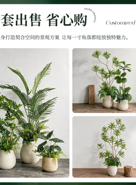 【央妈推荐】高端室内仿真绿植