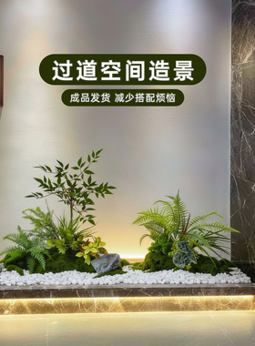 下单享极速发货仿真苔藓造景组合