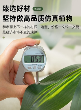 仿真绿植巴西木室内客厅落地摆件