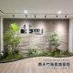 High-end light luxury indoor floor-standing simulated green plant landscaping