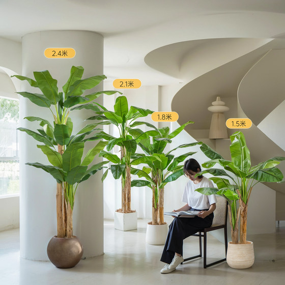 Xiaohongshu blogger recommends simulated green plants