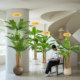 Xiaohongshu blogger recommends simulated green plants
