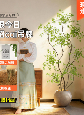 【室内软装美学】百搭落地摆件