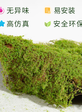 小红书家装博主同款仿真苔藓造景