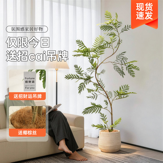 Advanced bionic plant jacaranda indoor living room high-end light luxury decorative ornaments potted plants large floor-standing fake green plants