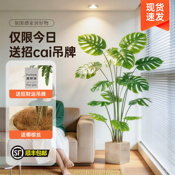 Unlock gentle home