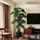 High-end light luxury simulated green plant Monstera deliciosa