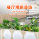 Villa-specific simulation landscaping combination