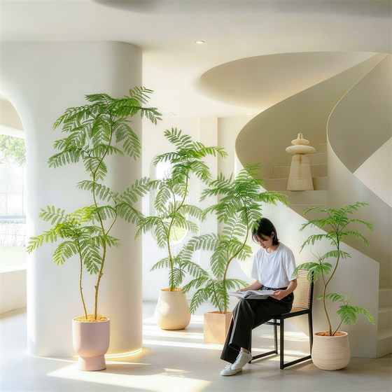 Advanced bionic plant jacaranda indoor living room high-end light luxury decorative ornaments potted plants large floor-standing fake green plants