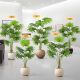 Yangma recommends simulated environmentally friendly green plants California palmetto