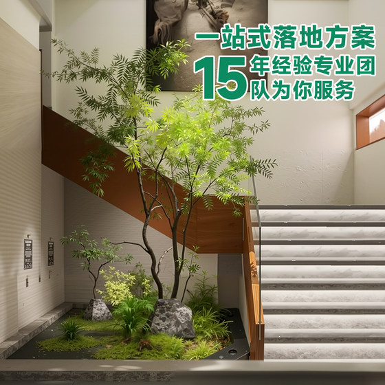 Simulated Podocarpus artificial trees and green plants for landscaping