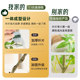 Simulated green plants indoor living room sofa side green plant potted plants