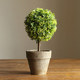 Xiaohongshu’s popular bonsai ornaments, fake flower balls