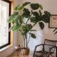 Simulated green plants, fake trees, potted plants, living room decorations