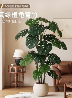 高端轻奢仿真绿植龟背竹