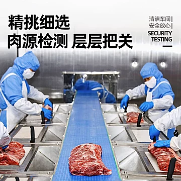 大希地菲力牛排650g共10袋[10元优惠券]-寻折猪