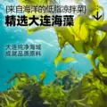 大希地开袋即食低脂裙带菜海带丝中华海草早餐减凉拌菜沙拉卡寿司 图片 4