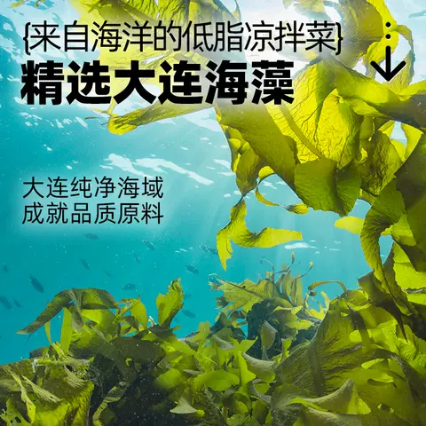 大希地开袋即食低脂裙带菜海带丝中华海草早餐减凉拌菜沙拉卡寿司 图片 4