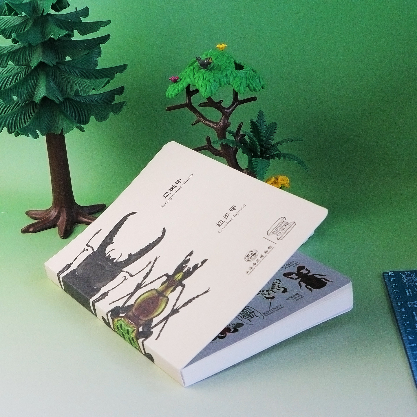 上海自然博物馆文创| 我的自然百宝箱系列艺术本子丝带凤蝶笔记本