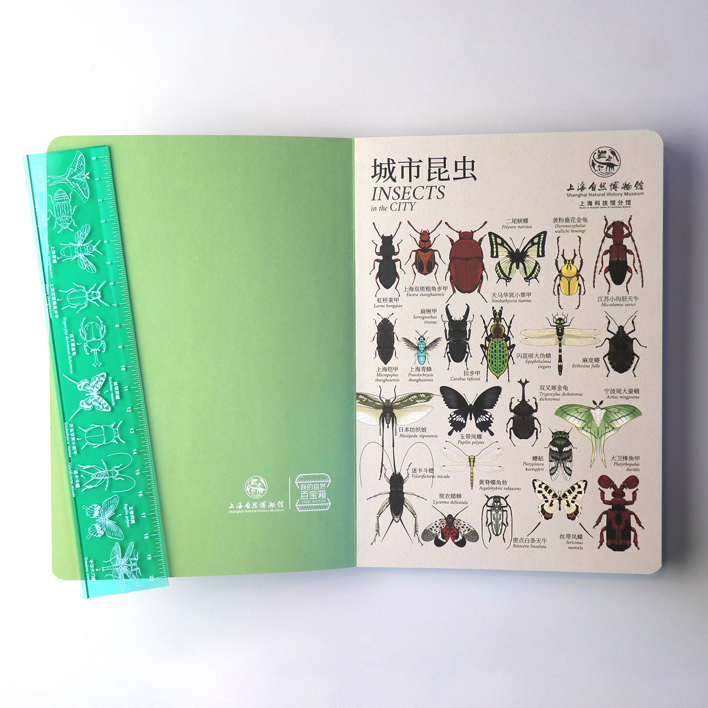 上海自然博物馆文创| 我的自然百宝箱系列艺术本子丝带凤蝶笔记本