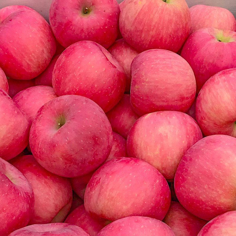 向鸽苹果新鲜水果苹果红富士苹果冰糖心整箱精品一级果,淘宝优惠券,粉丝福利购,淘宝优惠卷