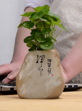 亘兴禅意水培花瓶家居装饰品摆件