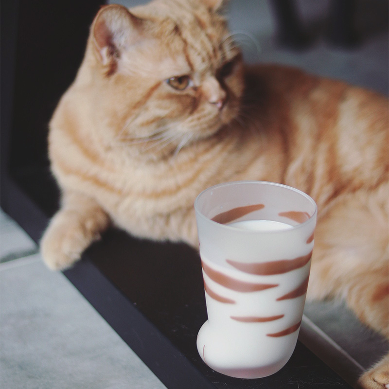 日本进口ADERIA石冢硝子猫爪杯玻璃杯可爱猫脚杯水杯儿童牛奶杯-图0