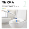 Dead Spot Cleaning Toilet Brush SC Johnson Dissolvable Toilet Cleaner