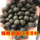 Goldfish feed super large feed koi carp fish food floating grain particles ornamental fish food ອາຫານປາທົ່ວໄປ 8 mm