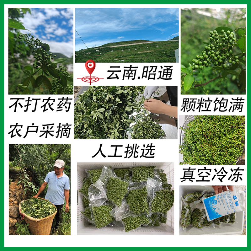 青花椒新鲜小包装70g*6袋小袋装新鲜花椒云南保鲜鲜青花椒真空,淘宝优惠券,粉丝福利购,淘宝优惠卷