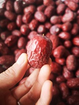 Xinjiang special production 2021 Ruoqiang tree natural hanging dry date with grey original ecology without adding bagged source straight hair