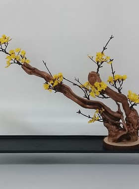 造景搭配仿真植物装饰