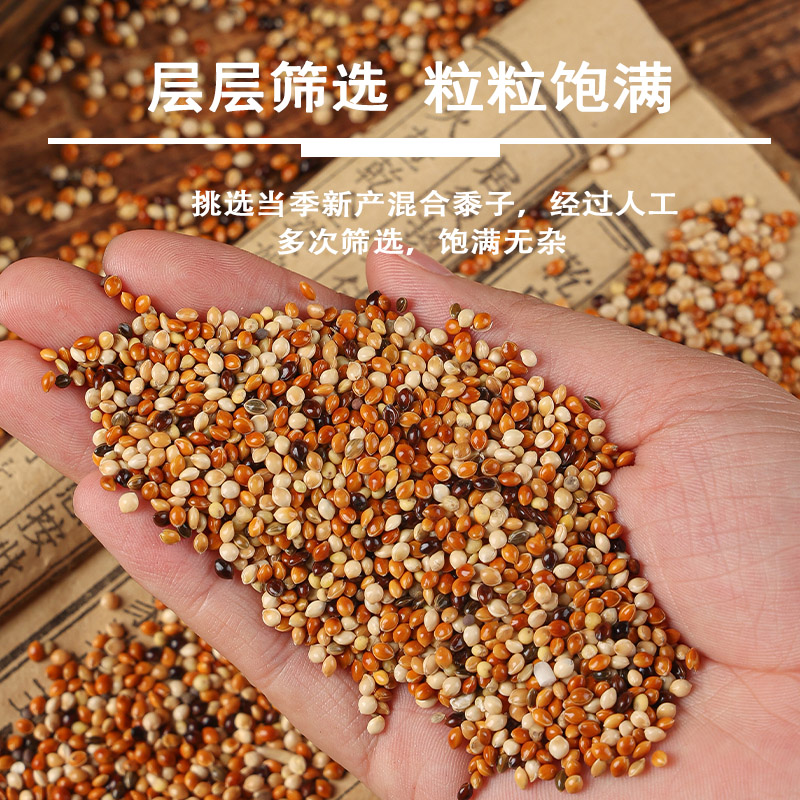 新货五色黍子虎皮牡丹玄凤中小型鹦鹉鸟食饲料鹦鹉混合粮谷子包邮 - 图1