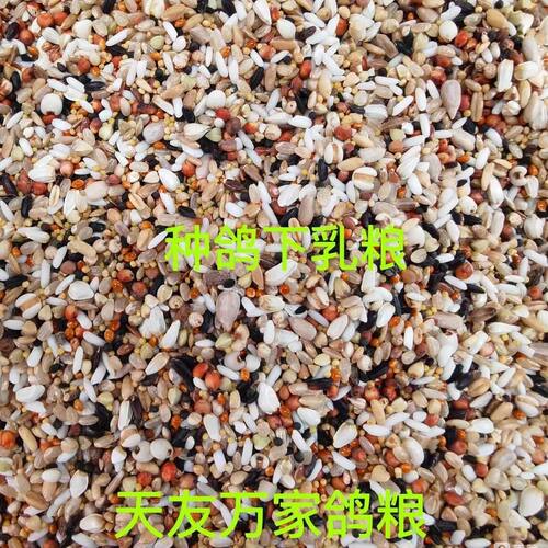 天友万家鸽粮下乳粮幼鸽粮打乳鸽粮鸽子饲料5斤10斤30斤包邮 - 图0