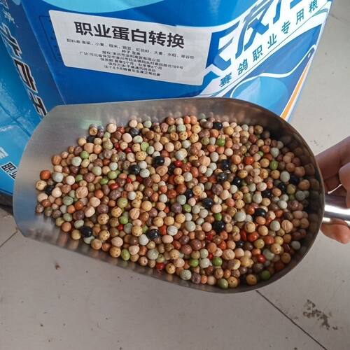 天友万家鸽粮职业蛋白转换幼鸽粮混合豌豆全豆鸽粮5斤40斤包邮 - 图0