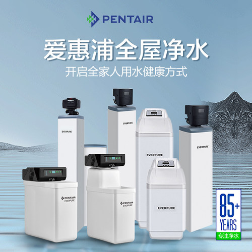 【政府补贴】滨特尔软水机家用全屋净水系统商用型大流量爱惠浦 - 图1