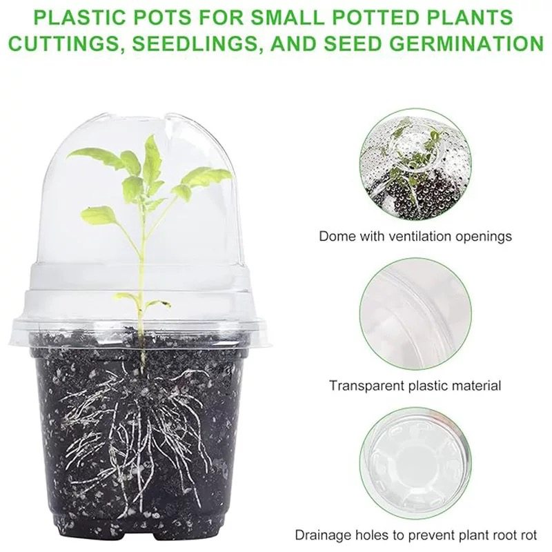 高透明育苗杯闷养杯带盖花盆保温保湿闷养盒多肉兰花播种扦插花盆,淘宝优惠券,粉丝福利购,淘宝优惠卷