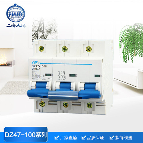 上海人民DZ47-100小型断路器导轨式空气开关100A125A1P2P3P4P80A - 图1