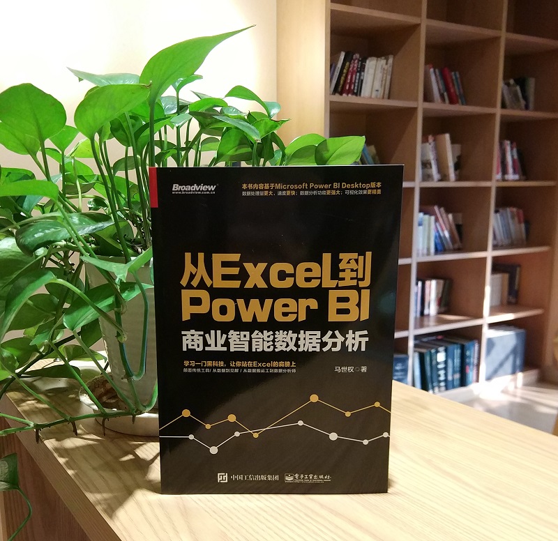 官方旗舰店 从Excel到Power BI 商业智能数据分析 PowerBI入门书籍 Power BI操作教程 Power Query数据查询工具 excel数据分析 - 图0