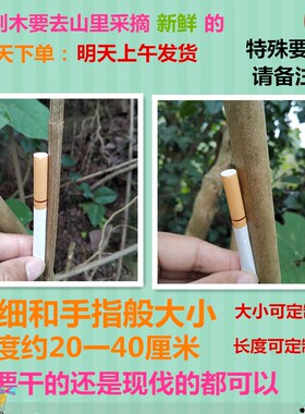 棍棒搬家祝福教育重庆发货黄金木