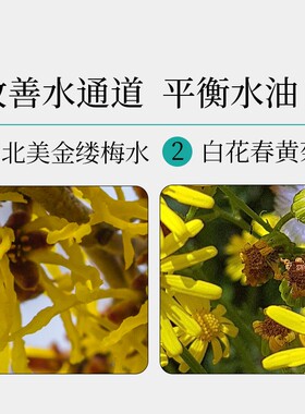 红妆二八金缕梅净透润肤露补水保湿清爽平衡水油润泽肌肤生命之泉