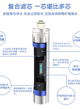 爱惠浦滤芯大流量家用过滤净水器